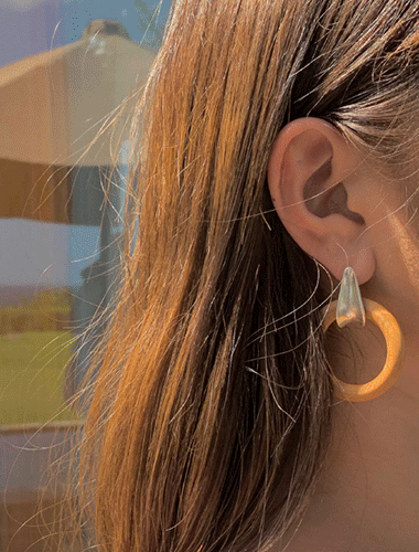 알리그-earring